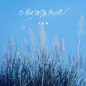 乌克兰X××xx××××××xXXXXX
